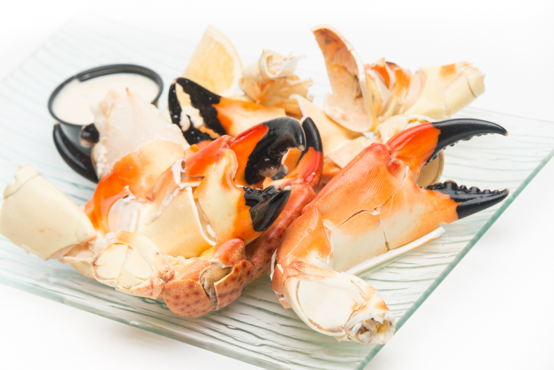Crab Mustard Dipping Sauce Kelchner's Horseradish