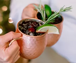 Gin & Cranberry Horseradish Mule