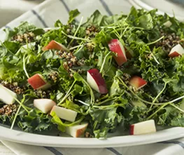 Kale & Apple Salad with Kelchner's Honey Ginger